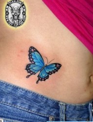 腹部纹身图片：美女腹部彩色蝴蝶纹身图片纹身作品