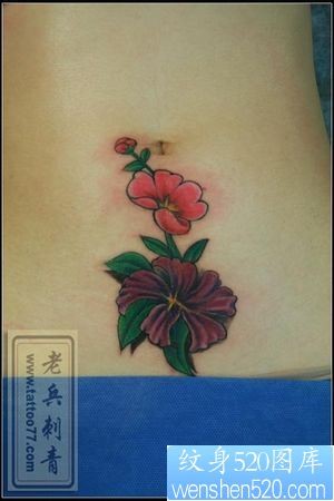 点击大图看下一张:腹部纹身图片:美女腹部彩色花卉纹身图片纹身作品