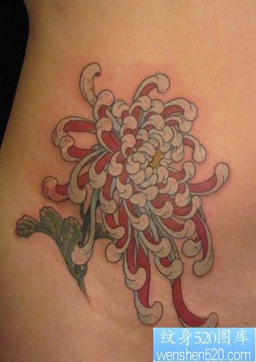 点击大图看下一张:一幅美女腹部菊花纹身图片
