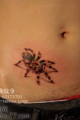 点击大图看下一张:另类的腹部蜘蛛纹身图片