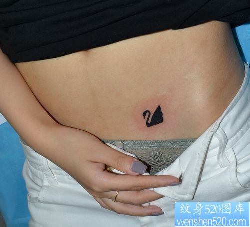 点击大图看下一张：女孩子腹部图腾小天鹅纹身图片