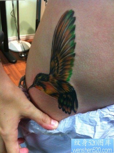 点击大图看下一张：女孩子腹部彩色小蜂鸟纹身图片