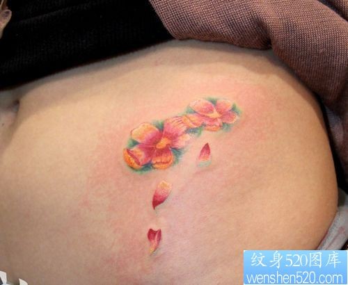 点击大图看下一张：女孩子腹部唯美好看彩色樱花纹身图片