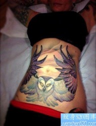 女人腹部经典时尚的猫头鹰纹身图片
