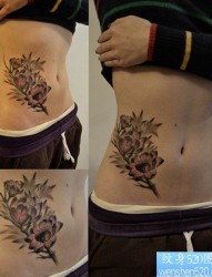 女人腹部好看的一幅图腾藤蔓纹身图片