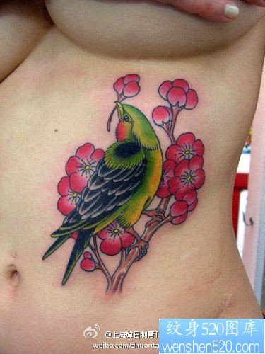 点击大图看下一张：女性腹部彩色小鸟纹身图片