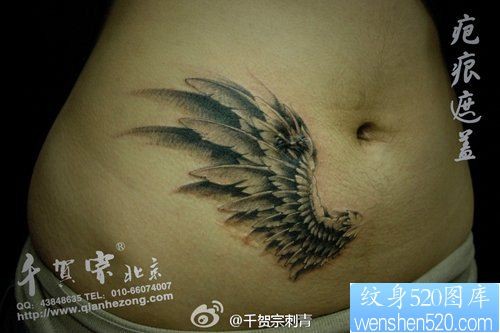 点击大图看下一张：女性腹部疤痕遮盖—翅膀纹身图片