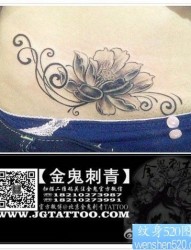 美女腹部唯美时尚的黑灰莲花纹身图片