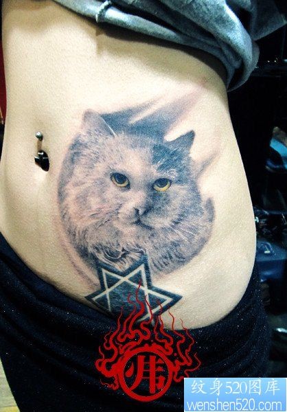 点击大图看下一张：美女腹部时尚经典的素描黑白猫咪纹身图片