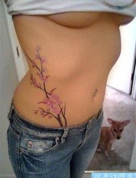 女人腹部小巧唯美的水墨鱼纹身图片
