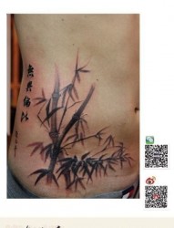 男人腹部经典时尚的竹子纹身图片