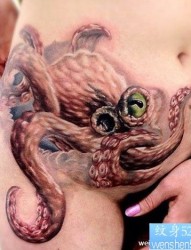 美女腹部时尚很酷的章鱼纹身图片