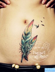 腹部时尚潮流的彩色小燕子纹身图片
