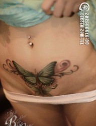 美女腹部唯美时尚的蝴蝶纹身图片