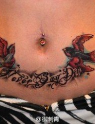 女人腹部时尚潮流的燕子与字母纹身图片
