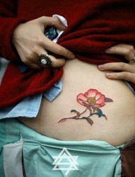 女人腹部潮流精美的花卉纹身图片