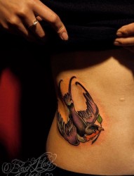 纹身520图库分享一幅腹部燕子纹身图片