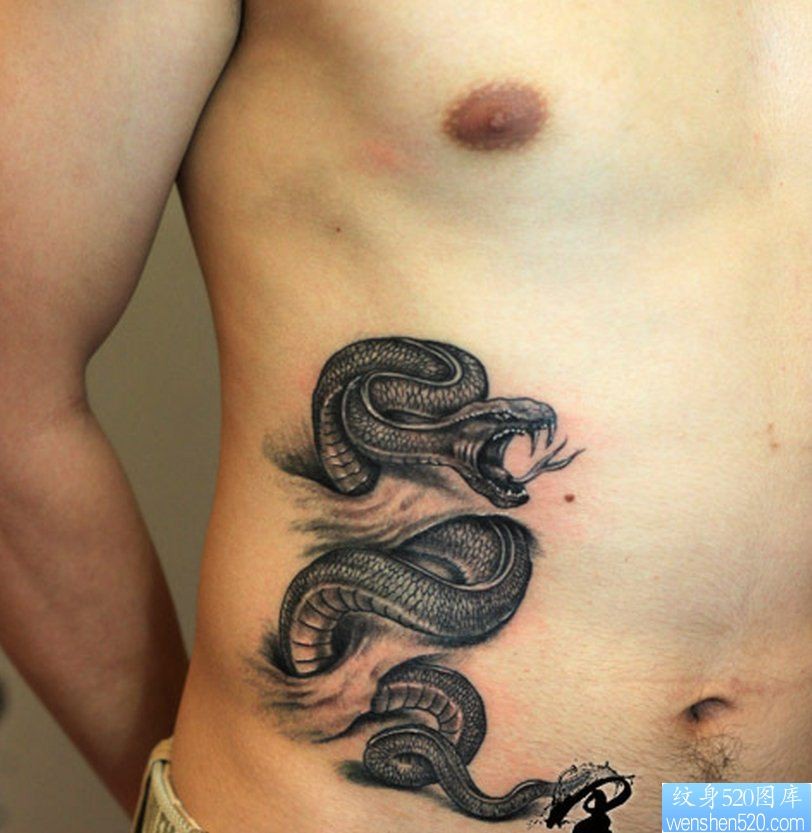 点击大图看下一张：腹部撕皮蛇纹身图片由纹身520图库推荐