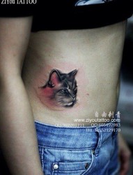 女人腹部一幅眼神很酷的猫咪纹身图片