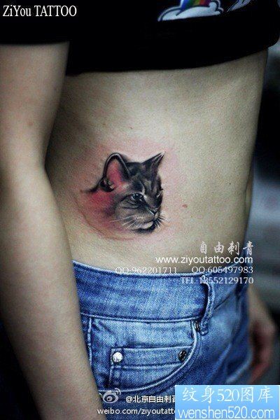 点击大图看下一张：女人腹部一幅眼神很酷的猫咪纹身图片