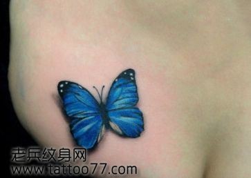 点击大图看下一张：唯美的美女臀部彩色蝴蝶纹身图片