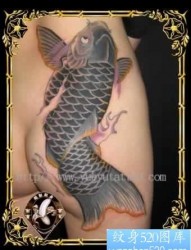 臀部的一幅黑灰鲤鱼纹身图片作品