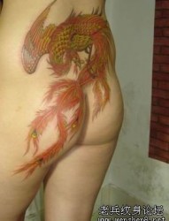 另类经典美女臀部彩色神兽凤凰纹身图片纹身作品
