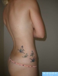 女人臀部唯美时尚的彩色蝴蝶纹身图片