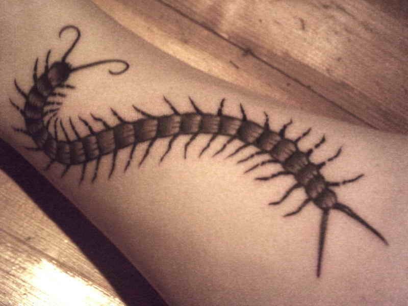 点击大图看下一张：腿上蜈蚣纹身图片
