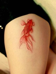 女性腿部可爱金鱼性感彩色刺青