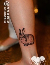 腿部可爱小巧的兔子纹身图片