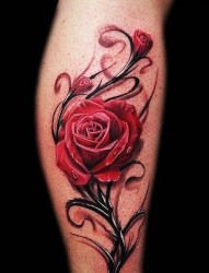 小腿侧部漂亮的玫瑰纹身图片欣赏