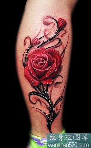 点击大图看下一张：小腿侧部漂亮的玫瑰纹身图片欣赏