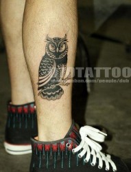 小腿图腾猫头鹰纹身图片