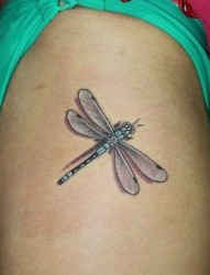 女孩子腿部小蜻蜓纹身图片