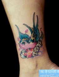 女孩子腿部一幅彩色小燕子纹身图片