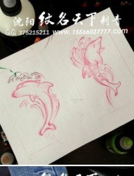 腿部时尚经典的海豚纹身图片