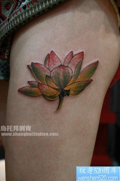 点击大图看下一张：女人腿部唯美清雅的莲花纹身图片