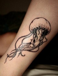 女人腿部时尚潮流的彩色小鸟纹身图片
