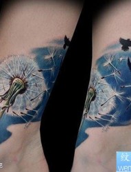 女人腿部精美写实的一幅蒲公英纹身图片