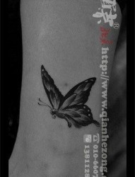 女人腿部小巧唯美的黑白蝴蝶纹身图片