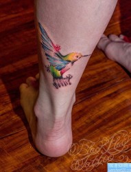 最好的纹身推荐一幅彩色小鸟纹身图片
