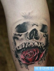 纹身520图库推荐一幅腿部骷髅头玫瑰文身图片