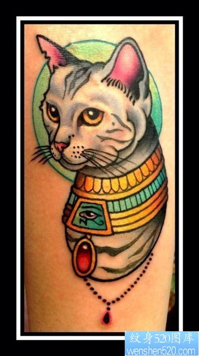 点击大图看下一张：纹身520图库推荐一幅彩色猫咪纹身图片