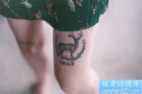 点击大图看下一张：纹身520图库推荐一幅女人腿部小鹿纹身图片