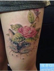 女性腿部猫咪玫瑰花纹身图案