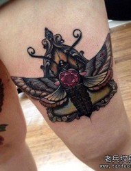 女性腿部个性的飞蛾纹身图案