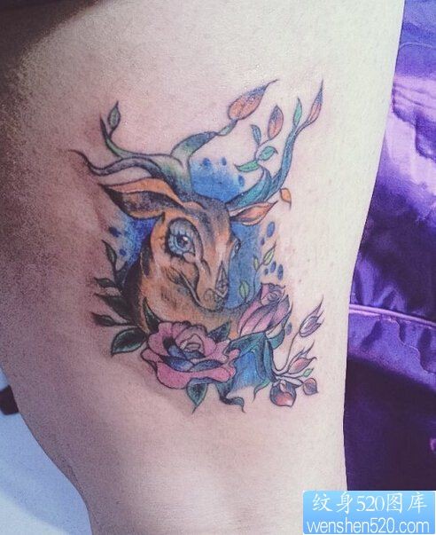 点击大图看下一张：一款腿部彩色羚羊玫瑰纹身图案