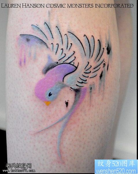 点击大图看下一张：一款手臂彩色蜂鸟纹身图案