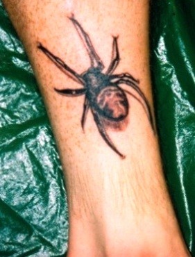 点击大图看下一张：潮人的爱好  腿部蜘蛛纹身图4